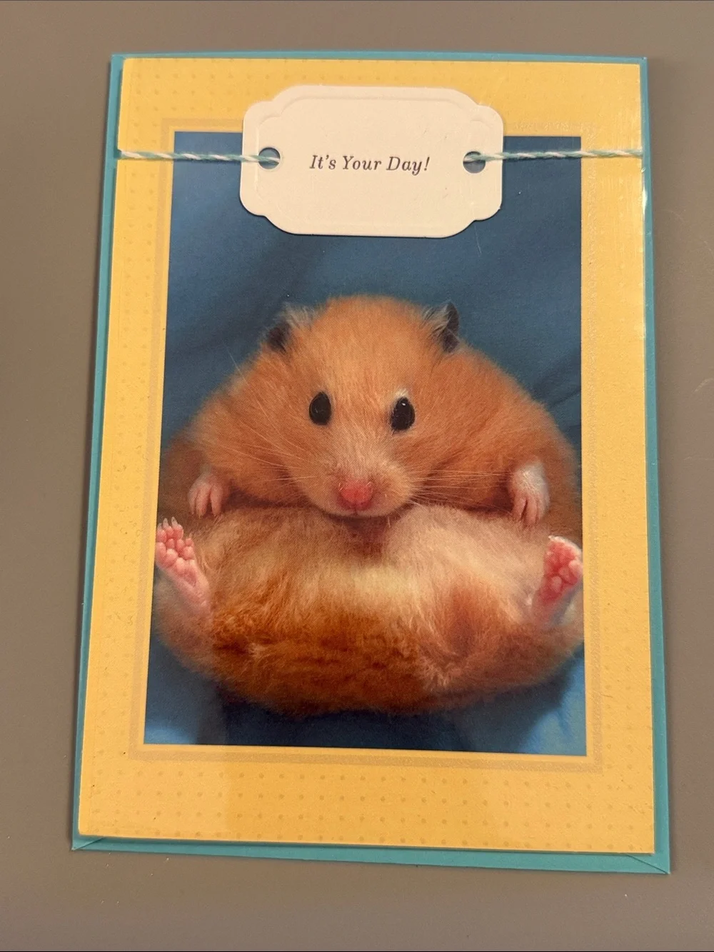 🌻 Bundle of 2 Hallmark Funny Birthday Cards